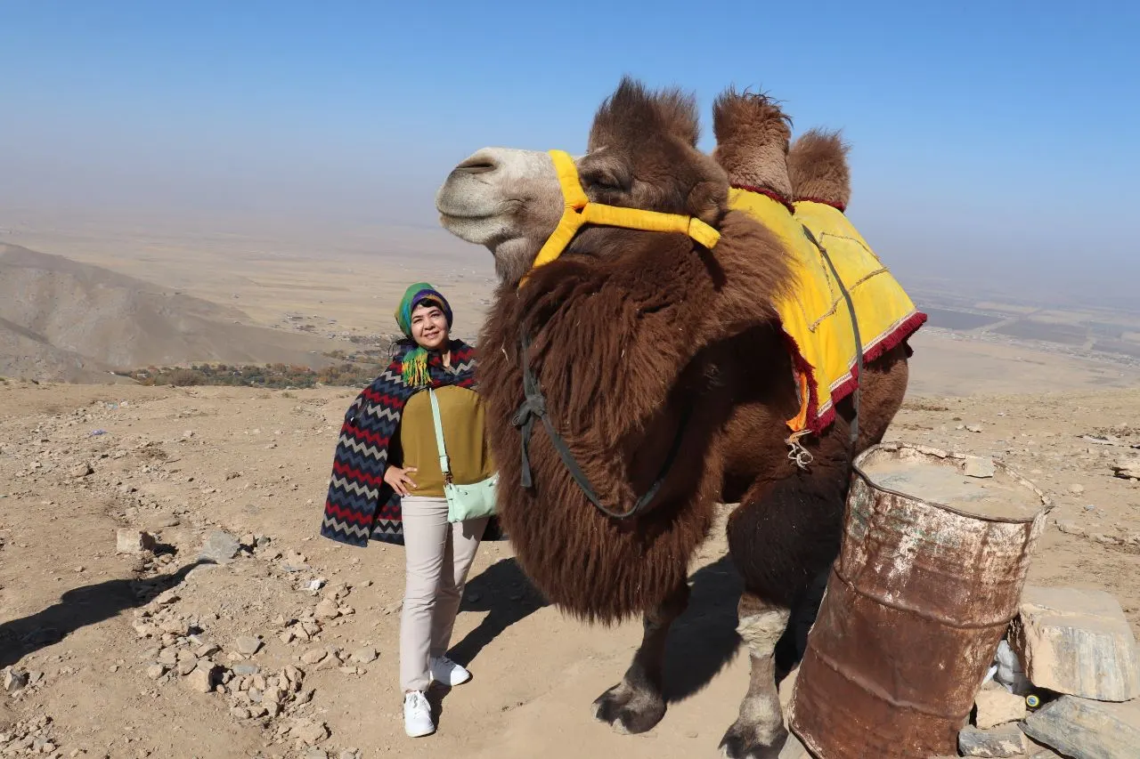 Kyzylkum Desert Camel Trek